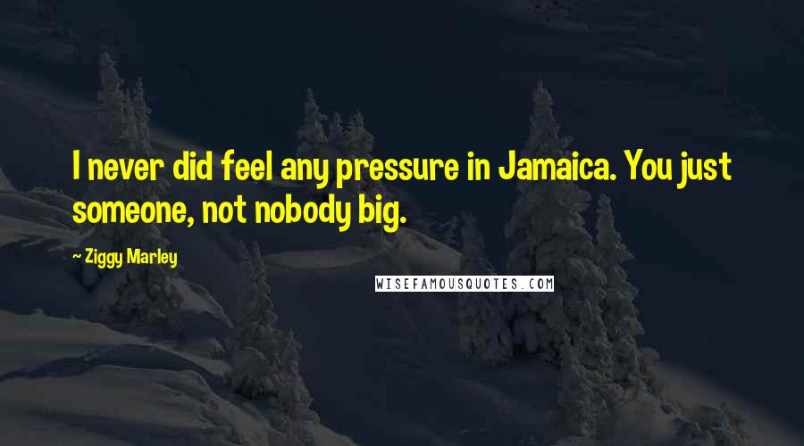 Ziggy Marley Quotes: I never did feel any pressure in Jamaica. You just someone, not nobody big.