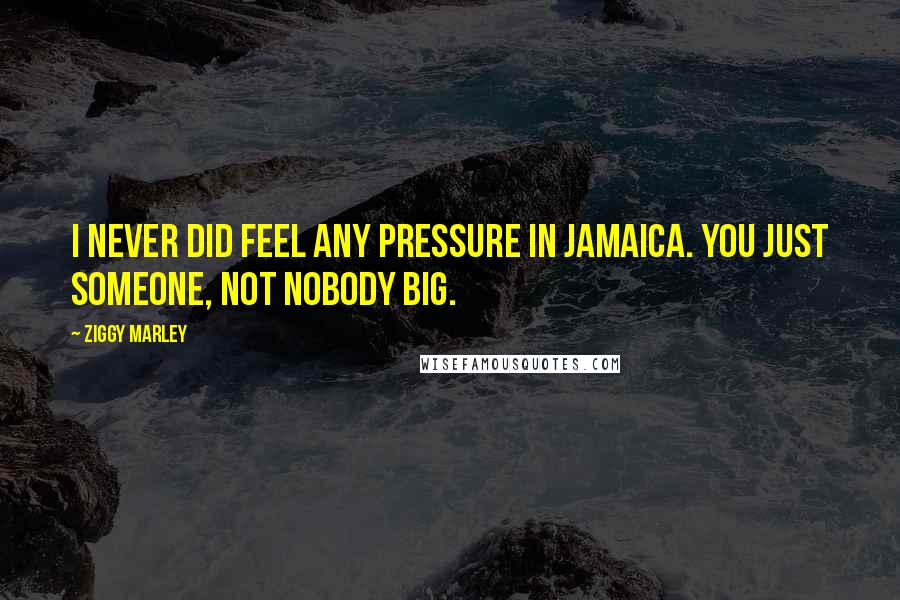 Ziggy Marley Quotes: I never did feel any pressure in Jamaica. You just someone, not nobody big.