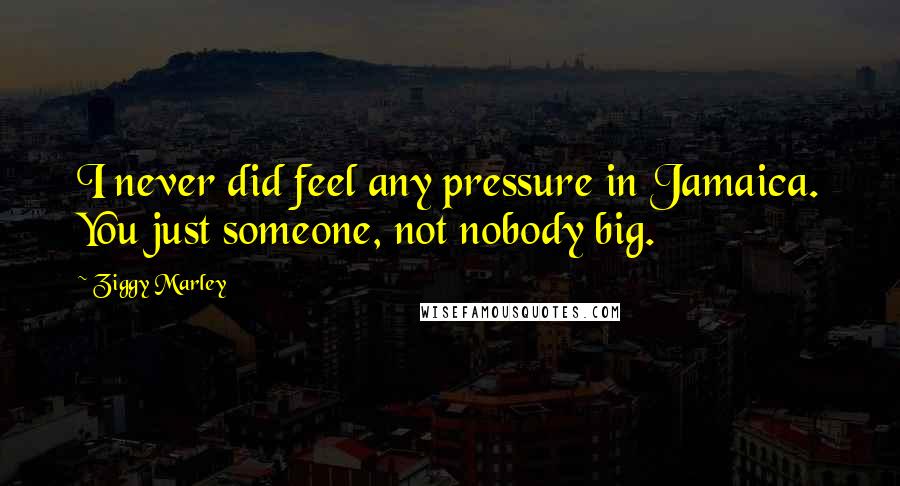 Ziggy Marley Quotes: I never did feel any pressure in Jamaica. You just someone, not nobody big.