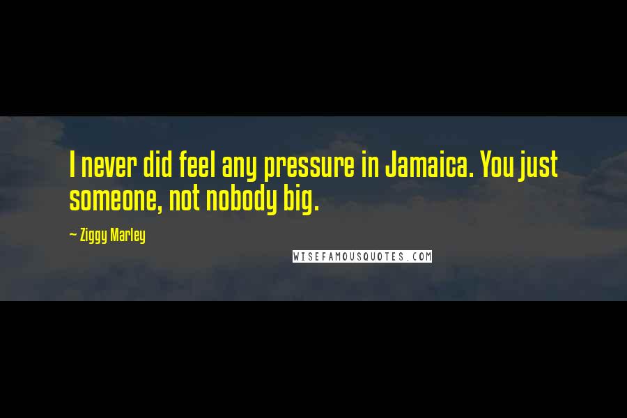 Ziggy Marley Quotes: I never did feel any pressure in Jamaica. You just someone, not nobody big.