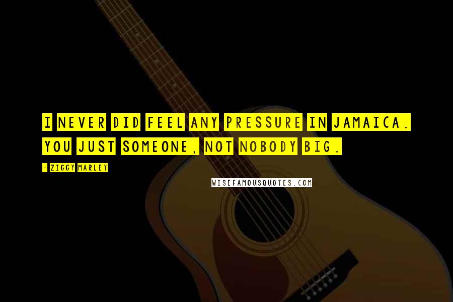 Ziggy Marley Quotes: I never did feel any pressure in Jamaica. You just someone, not nobody big.