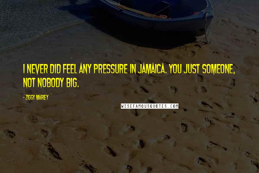 Ziggy Marley Quotes: I never did feel any pressure in Jamaica. You just someone, not nobody big.