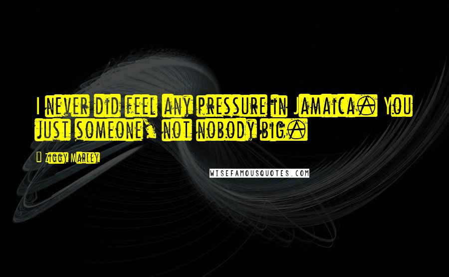 Ziggy Marley Quotes: I never did feel any pressure in Jamaica. You just someone, not nobody big.