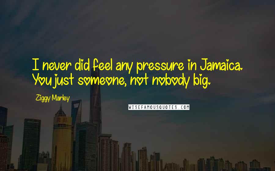 Ziggy Marley Quotes: I never did feel any pressure in Jamaica. You just someone, not nobody big.