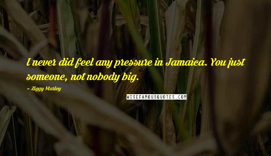 Ziggy Marley Quotes: I never did feel any pressure in Jamaica. You just someone, not nobody big.