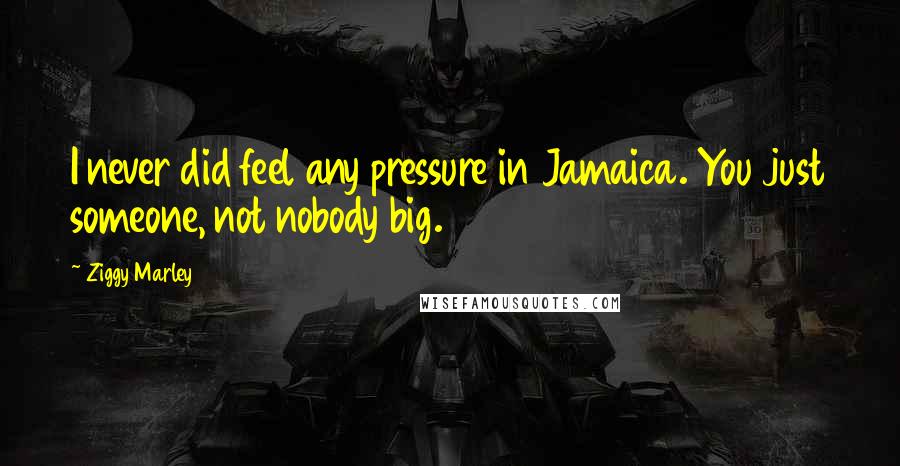 Ziggy Marley Quotes: I never did feel any pressure in Jamaica. You just someone, not nobody big.