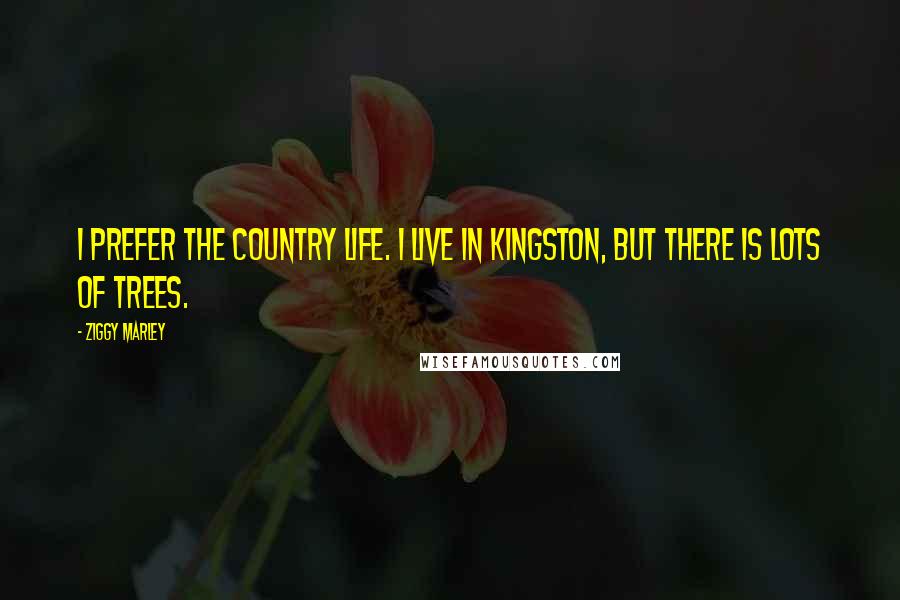 Ziggy Marley Quotes: I prefer the country life. I live in Kingston, but there is lots of trees.