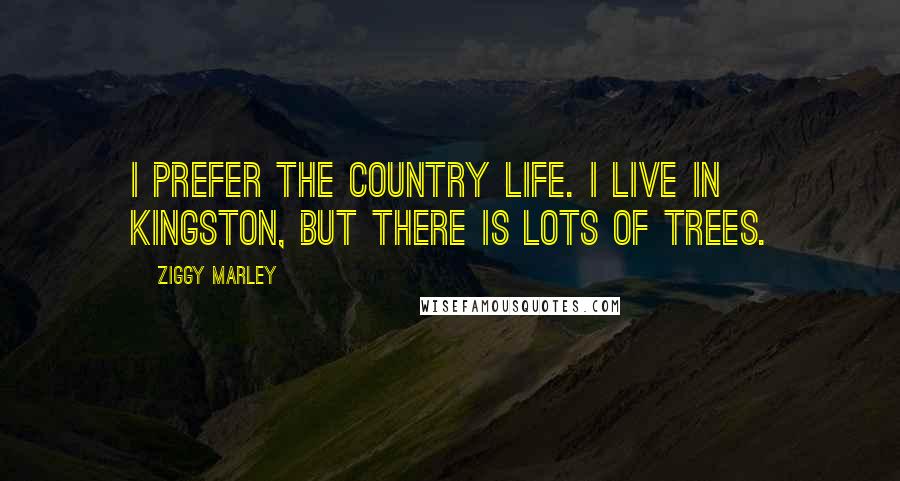 Ziggy Marley Quotes: I prefer the country life. I live in Kingston, but there is lots of trees.