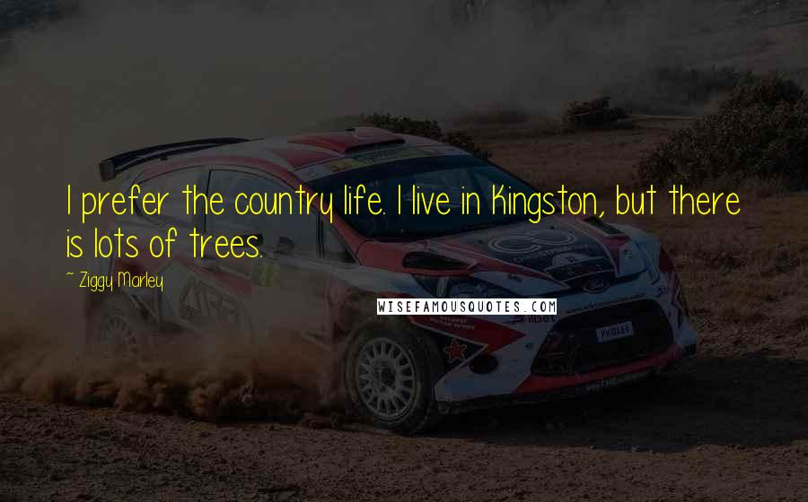 Ziggy Marley Quotes: I prefer the country life. I live in Kingston, but there is lots of trees.