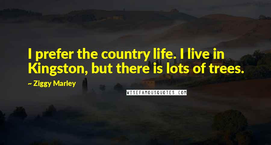 Ziggy Marley Quotes: I prefer the country life. I live in Kingston, but there is lots of trees.