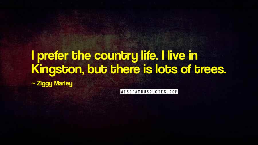 Ziggy Marley Quotes: I prefer the country life. I live in Kingston, but there is lots of trees.