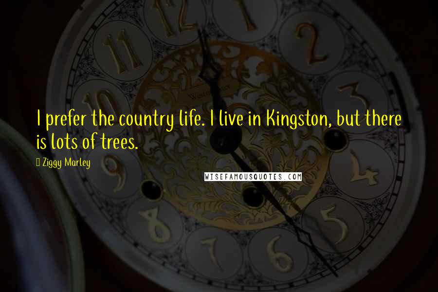 Ziggy Marley Quotes: I prefer the country life. I live in Kingston, but there is lots of trees.