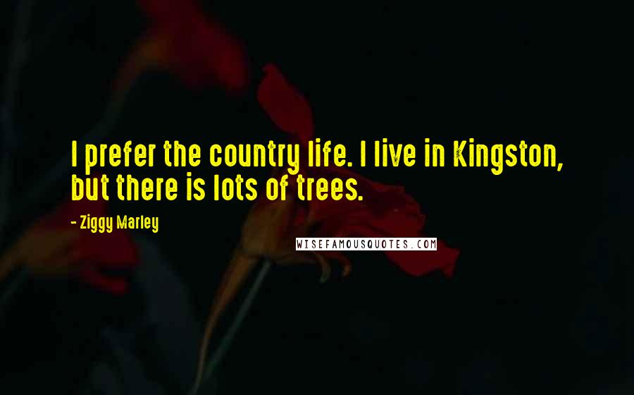 Ziggy Marley Quotes: I prefer the country life. I live in Kingston, but there is lots of trees.