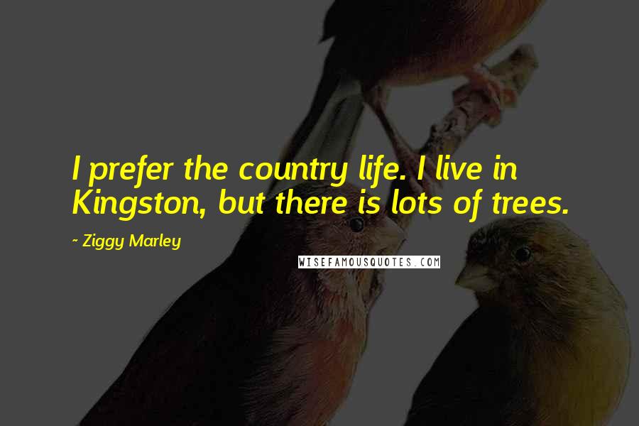 Ziggy Marley Quotes: I prefer the country life. I live in Kingston, but there is lots of trees.