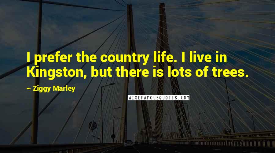 Ziggy Marley Quotes: I prefer the country life. I live in Kingston, but there is lots of trees.