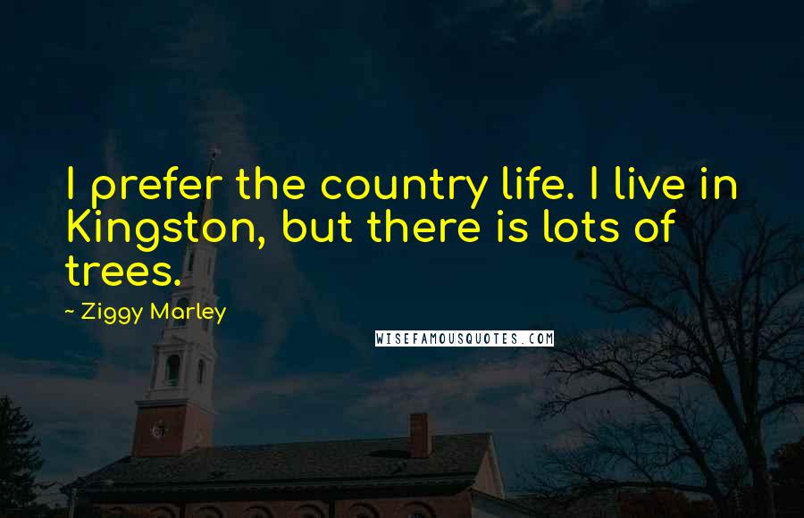 Ziggy Marley Quotes: I prefer the country life. I live in Kingston, but there is lots of trees.