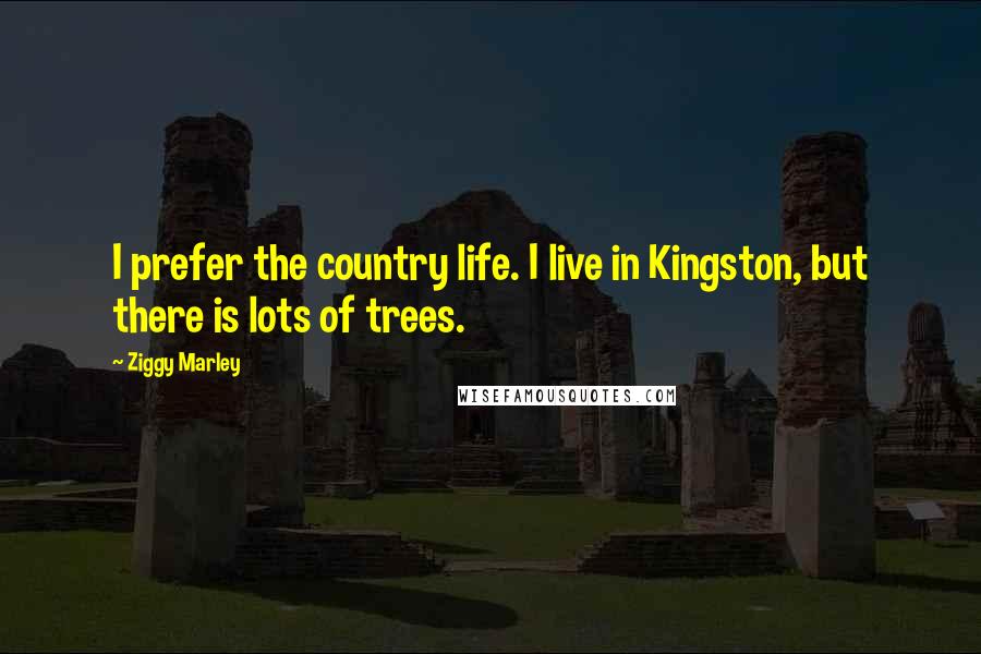 Ziggy Marley Quotes: I prefer the country life. I live in Kingston, but there is lots of trees.