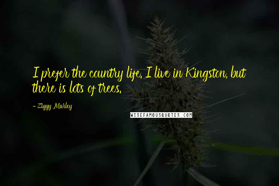 Ziggy Marley Quotes: I prefer the country life. I live in Kingston, but there is lots of trees.