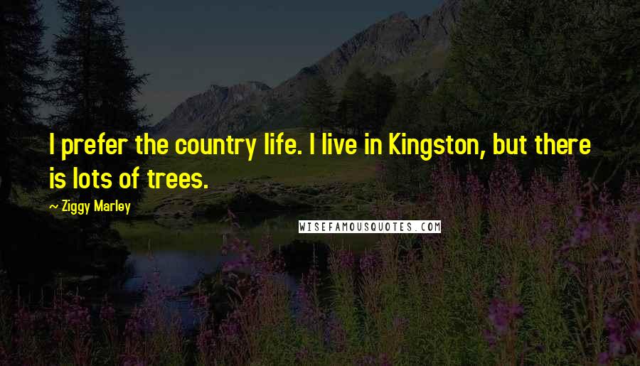 Ziggy Marley Quotes: I prefer the country life. I live in Kingston, but there is lots of trees.