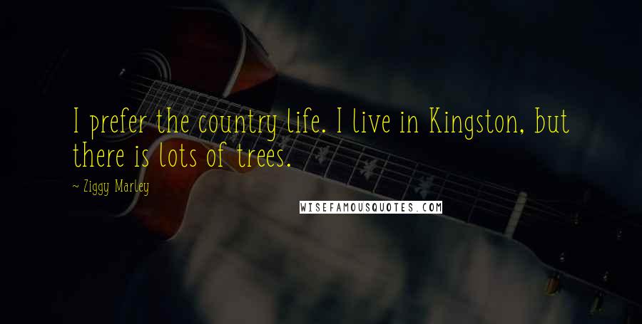 Ziggy Marley Quotes: I prefer the country life. I live in Kingston, but there is lots of trees.