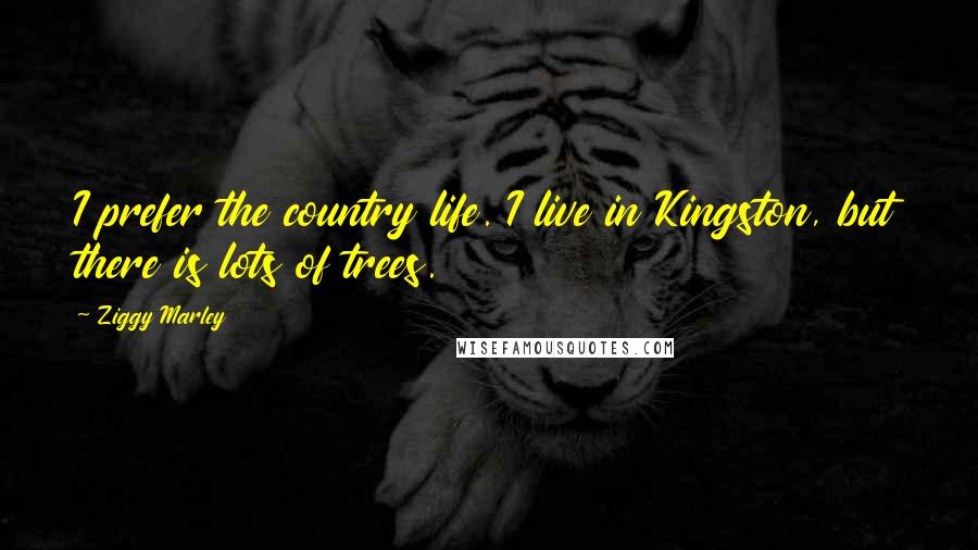 Ziggy Marley Quotes: I prefer the country life. I live in Kingston, but there is lots of trees.