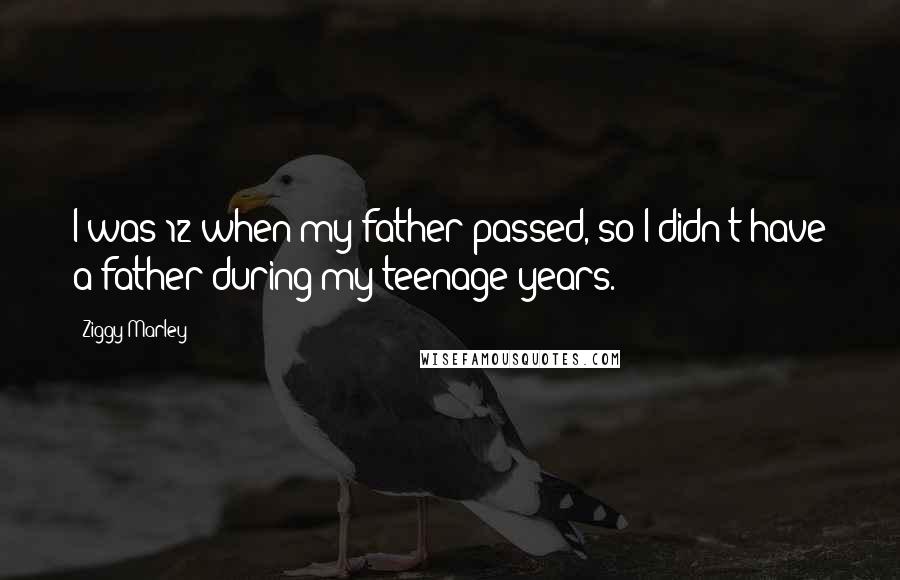 Ziggy Marley Quotes: I was 12 when my father passed, so I didn't have a father during my teenage years.