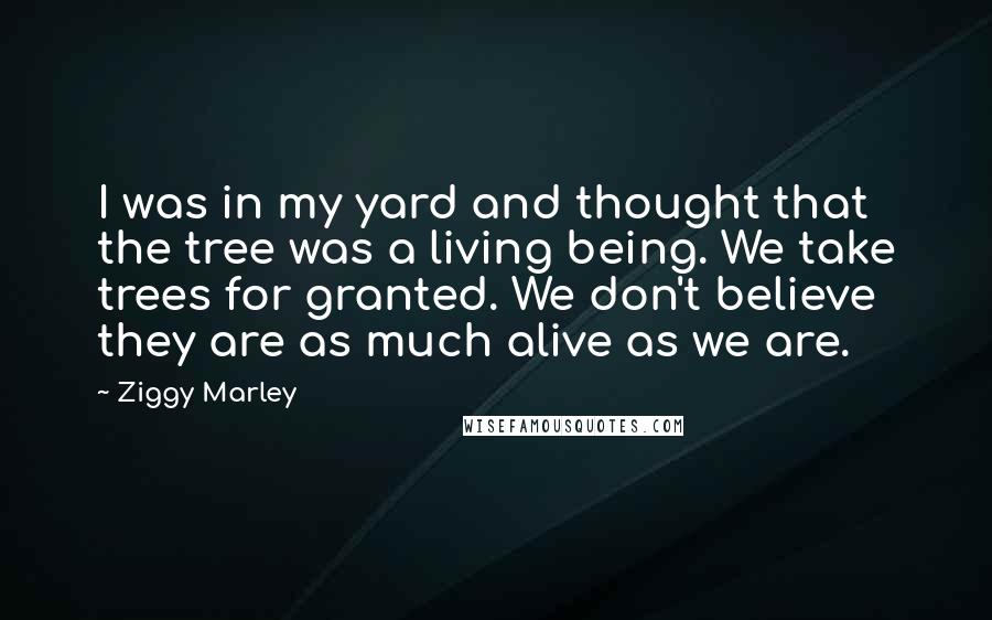 Ziggy Marley Quotes: I was in my yard and thought that the tree was a living being. We take trees for granted. We don't believe they are as much alive as we are.