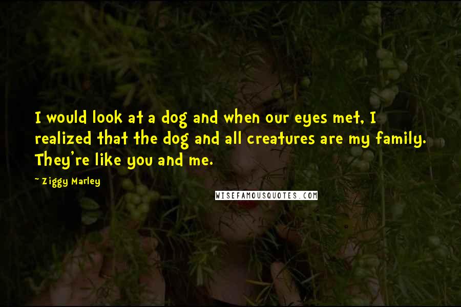 Ziggy Marley Quotes: I would look at a dog and when our eyes met, I realized that the dog and all creatures are my family. They're like you and me.