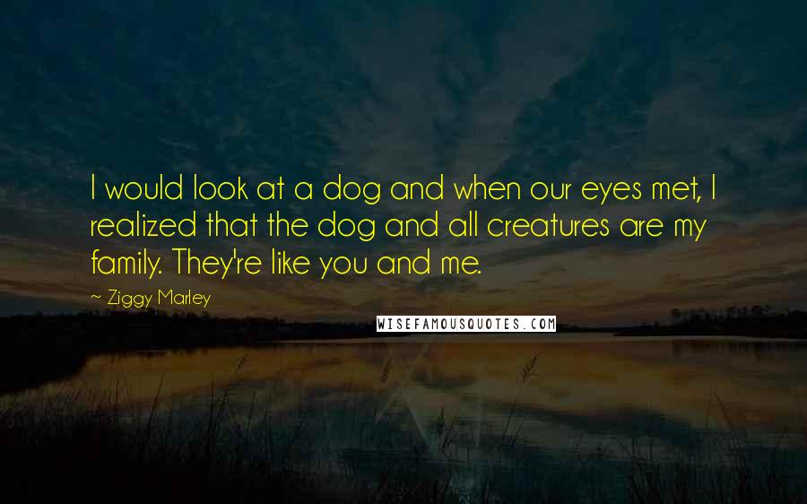 Ziggy Marley Quotes: I would look at a dog and when our eyes met, I realized that the dog and all creatures are my family. They're like you and me.