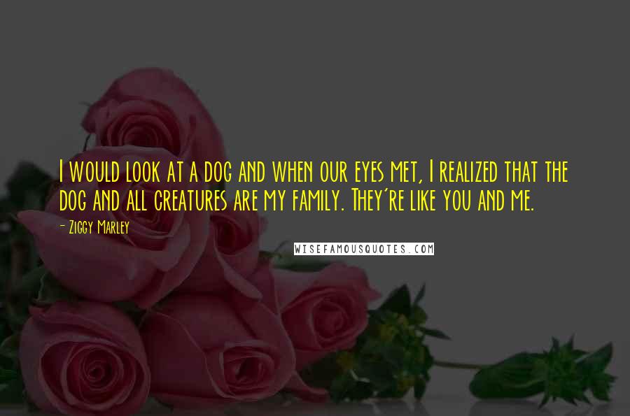 Ziggy Marley Quotes: I would look at a dog and when our eyes met, I realized that the dog and all creatures are my family. They're like you and me.