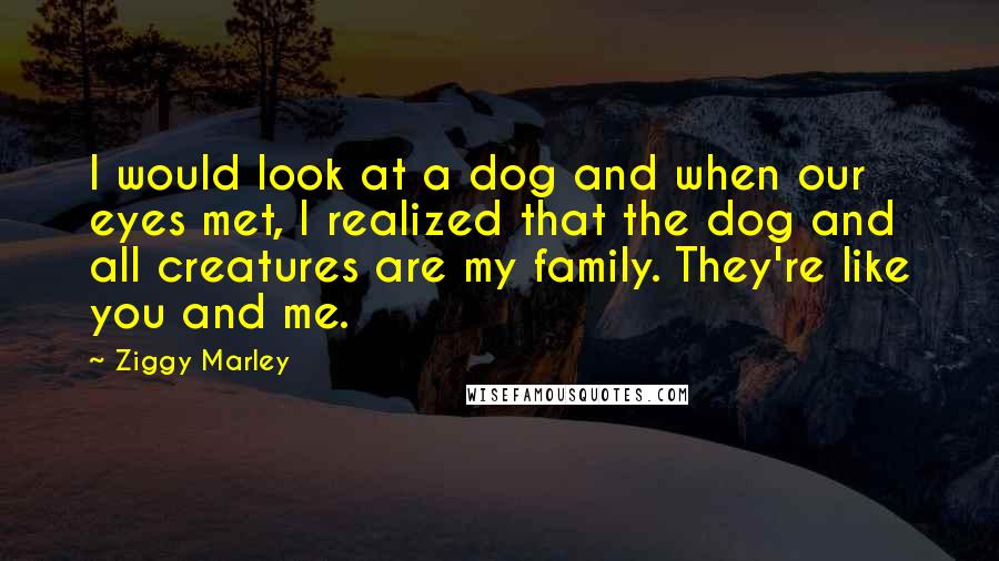 Ziggy Marley Quotes: I would look at a dog and when our eyes met, I realized that the dog and all creatures are my family. They're like you and me.