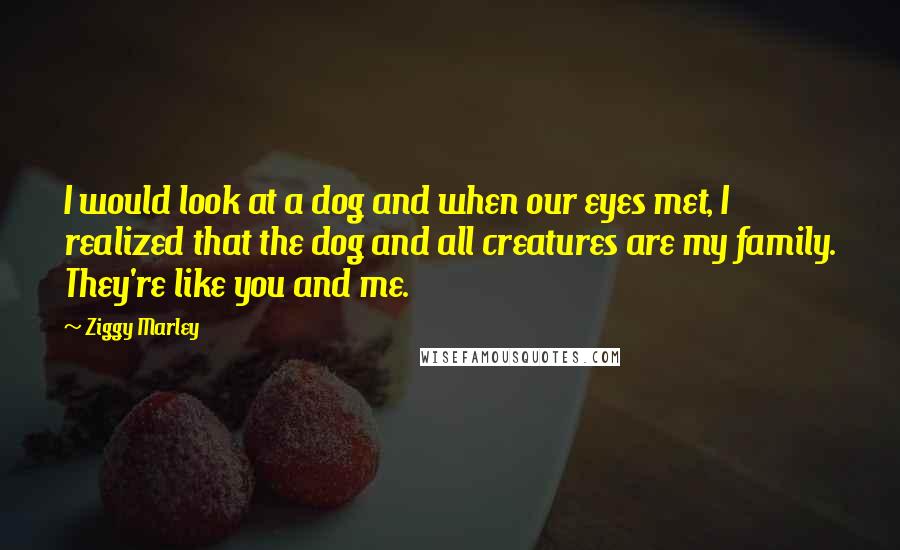 Ziggy Marley Quotes: I would look at a dog and when our eyes met, I realized that the dog and all creatures are my family. They're like you and me.