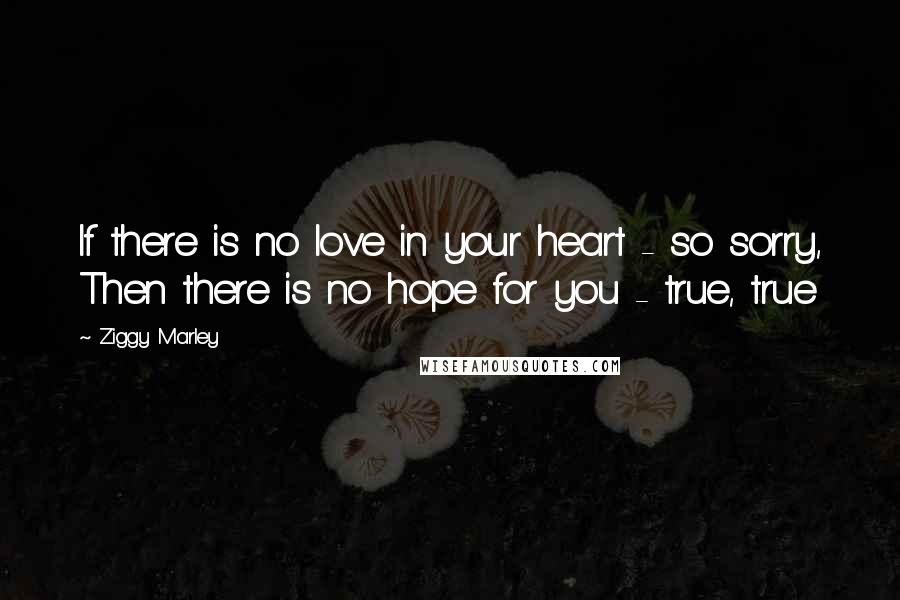 Ziggy Marley Quotes: If there is no love in your heart - so sorry, Then there is no hope for you - true, true