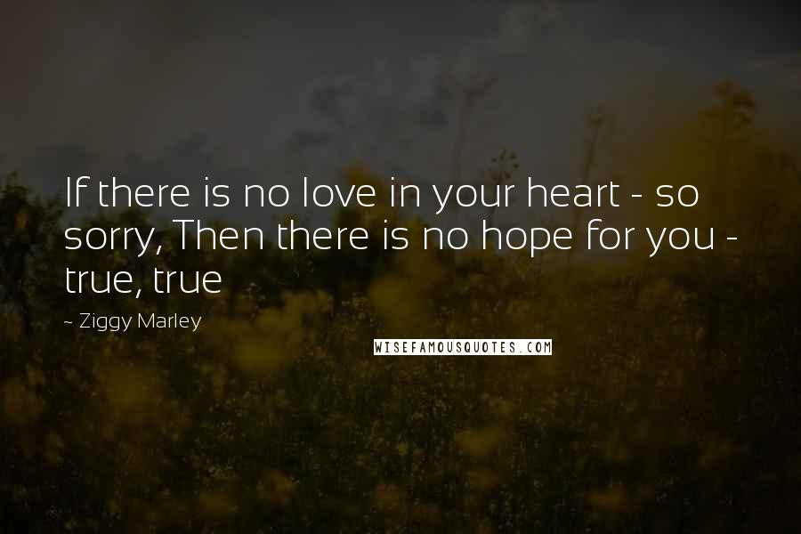 Ziggy Marley Quotes: If there is no love in your heart - so sorry, Then there is no hope for you - true, true