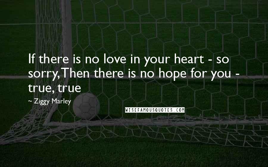 Ziggy Marley Quotes: If there is no love in your heart - so sorry, Then there is no hope for you - true, true