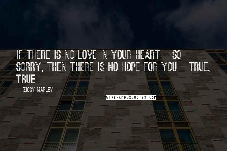 Ziggy Marley Quotes: If there is no love in your heart - so sorry, Then there is no hope for you - true, true