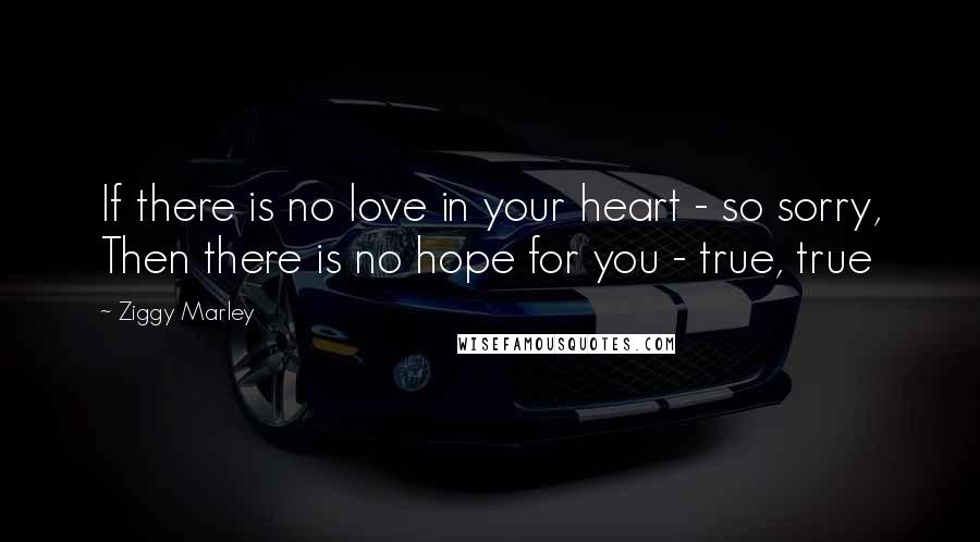 Ziggy Marley Quotes: If there is no love in your heart - so sorry, Then there is no hope for you - true, true