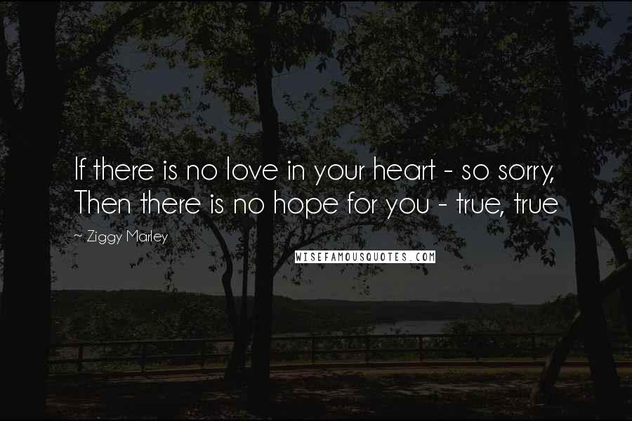 Ziggy Marley Quotes: If there is no love in your heart - so sorry, Then there is no hope for you - true, true