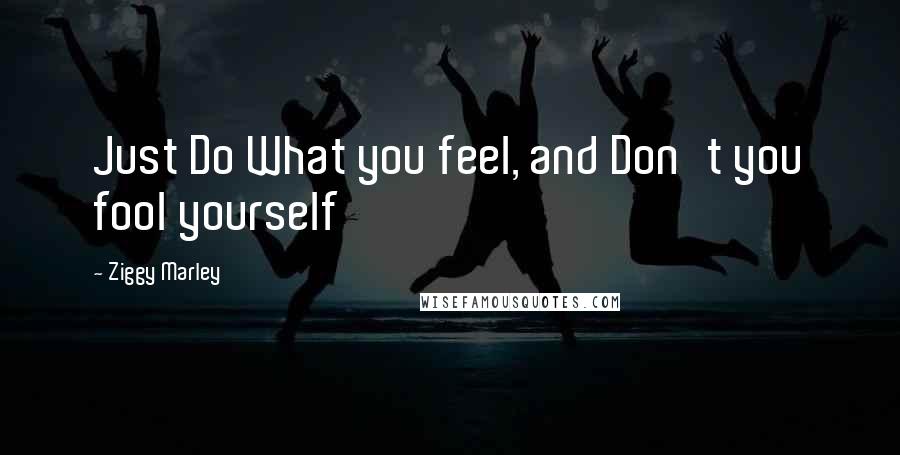 Ziggy Marley Quotes: Just Do What you feel, and Don't you fool yourself