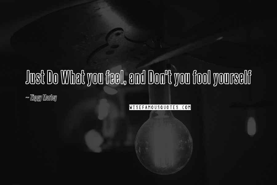 Ziggy Marley Quotes: Just Do What you feel, and Don't you fool yourself