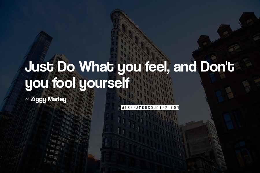 Ziggy Marley Quotes: Just Do What you feel, and Don't you fool yourself