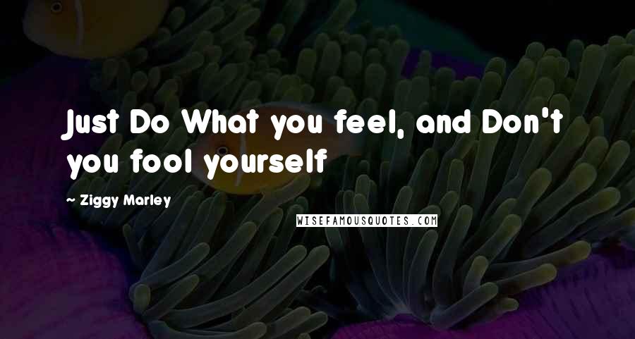 Ziggy Marley Quotes: Just Do What you feel, and Don't you fool yourself