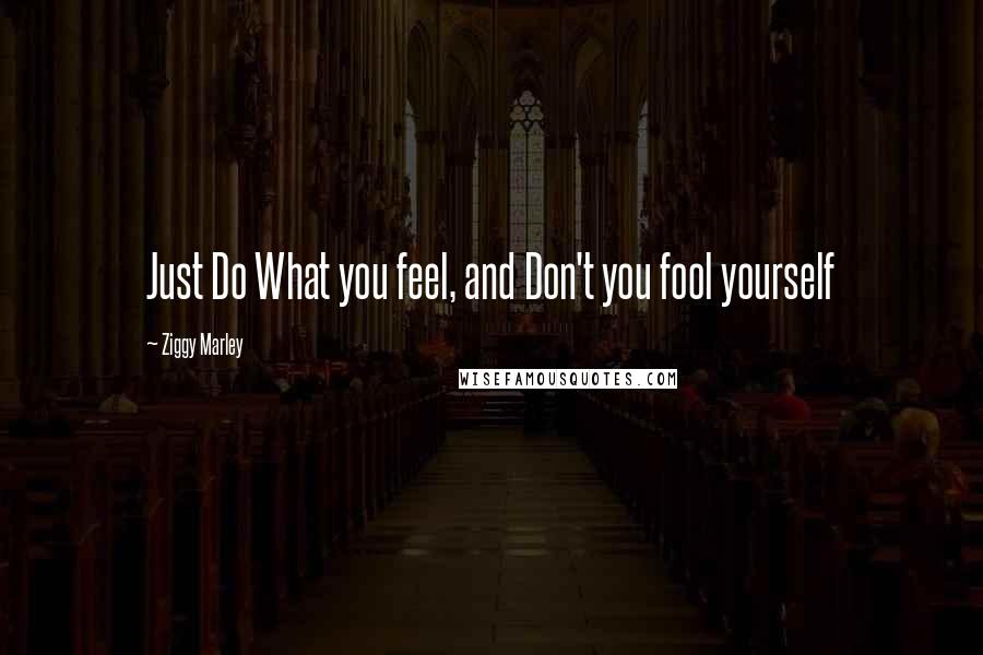 Ziggy Marley Quotes: Just Do What you feel, and Don't you fool yourself