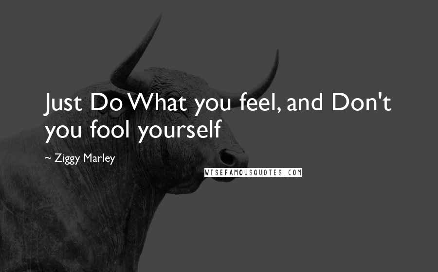 Ziggy Marley Quotes: Just Do What you feel, and Don't you fool yourself