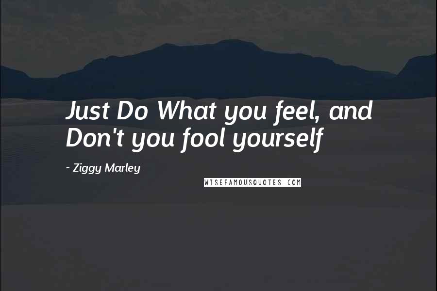 Ziggy Marley Quotes: Just Do What you feel, and Don't you fool yourself