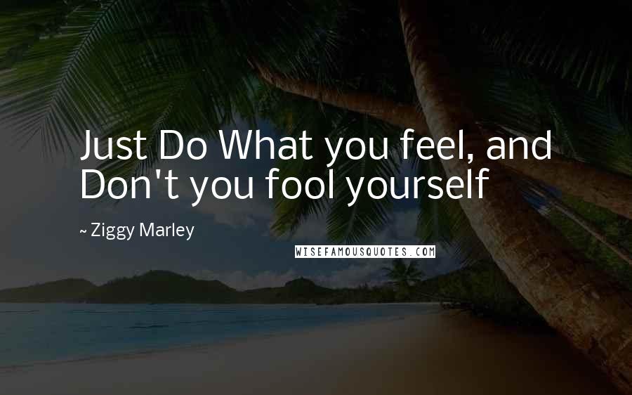 Ziggy Marley Quotes: Just Do What you feel, and Don't you fool yourself