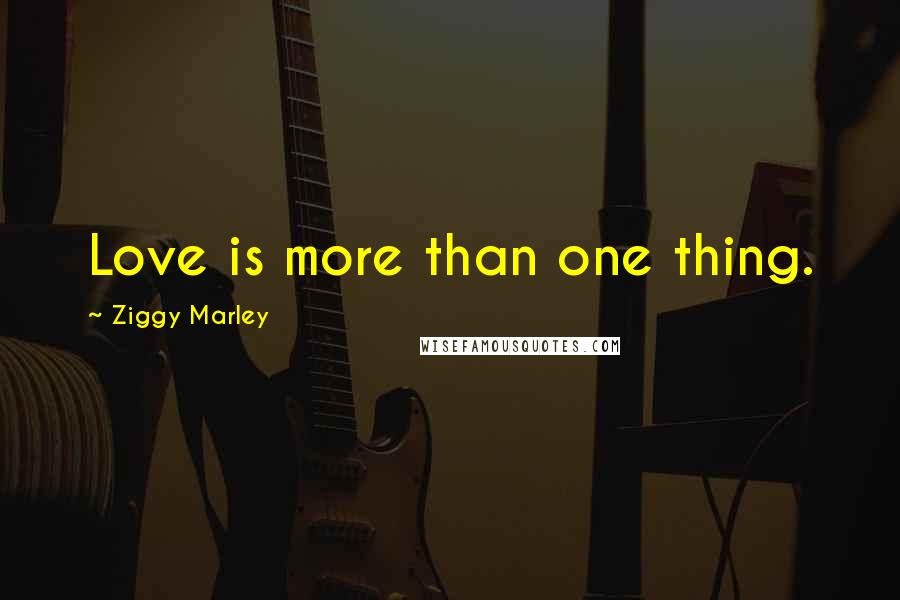 Ziggy Marley Quotes: Love is more than one thing.