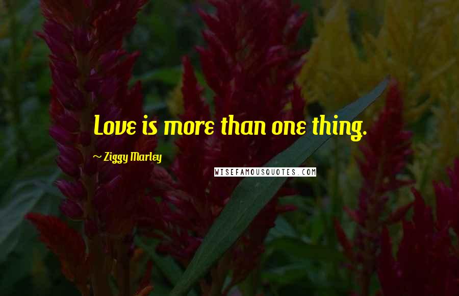 Ziggy Marley Quotes: Love is more than one thing.