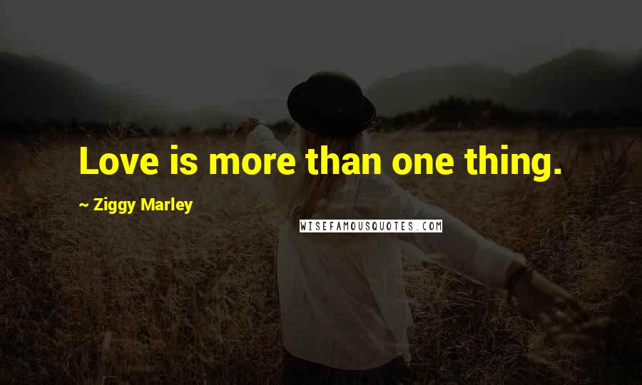 Ziggy Marley Quotes: Love is more than one thing.