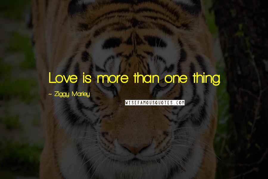 Ziggy Marley Quotes: Love is more than one thing.